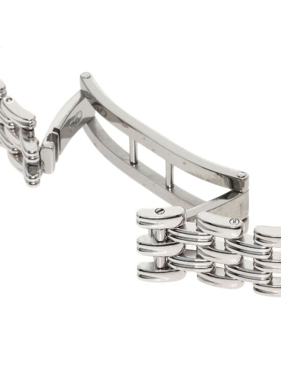 Dior Bagheera Watch SS main image 15